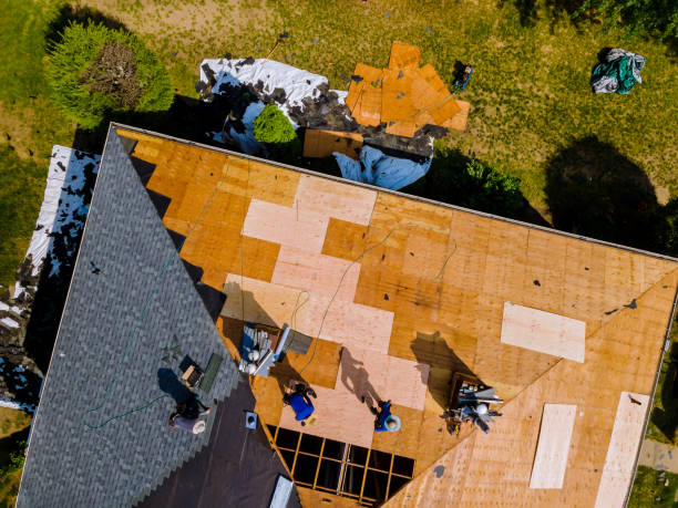 Best Roof Maintenance Services  in North Bend, NE